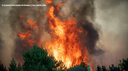 Incêndio na Califórnia