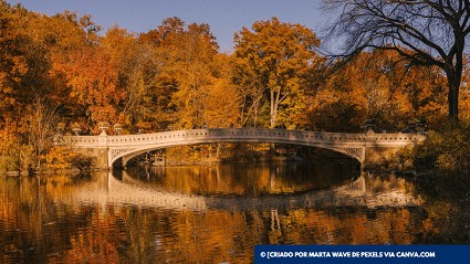 Quais os lugares mais visitados dos Estados Unidos