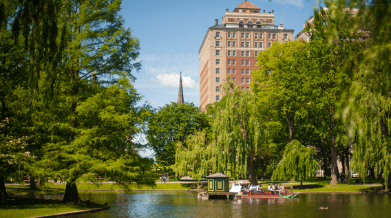 Os esportes em Boston - Turismo em Boston