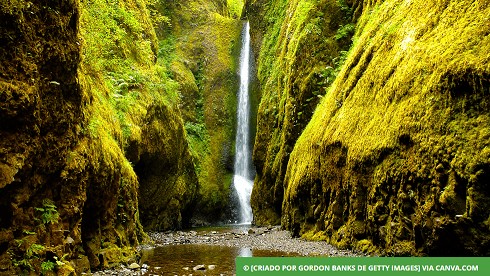 Oneonta Gorge nos EUA