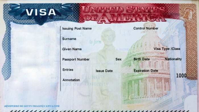 Visto Americano