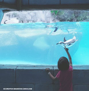 SeaWorld em Orlando